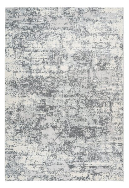Kusový koberec Lalee Pierre Cardin Paris 503 silver - 80 x 150 cm