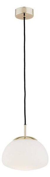 Argon 4352 - Lustr na lanku TRINI 1xE27/15W/230V pr. 20 cm zlatá