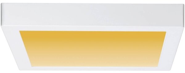 Paulmann 79801 - LED/13W Stropní svítidlo CARPO 230V 2300/2500/3000K