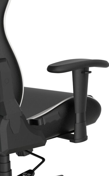 Herní židle DXRacer PRINCE LPF24LTC/NW