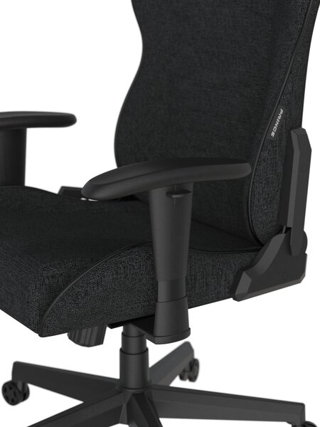 Herní židle DXRacer PRINCE LPF24FBC/N