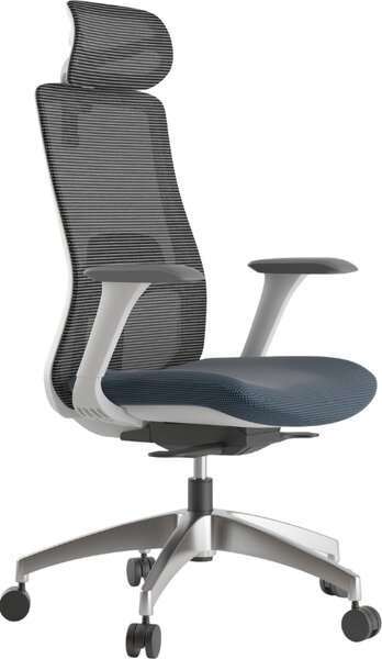 Mercury Ergonomická kancelářská židle WISDOM, šedý plast, modrá látka