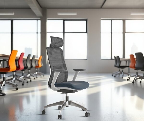 Mercury Ergonomická kancelářská židle WISDOM, šedý plast, modrá látka