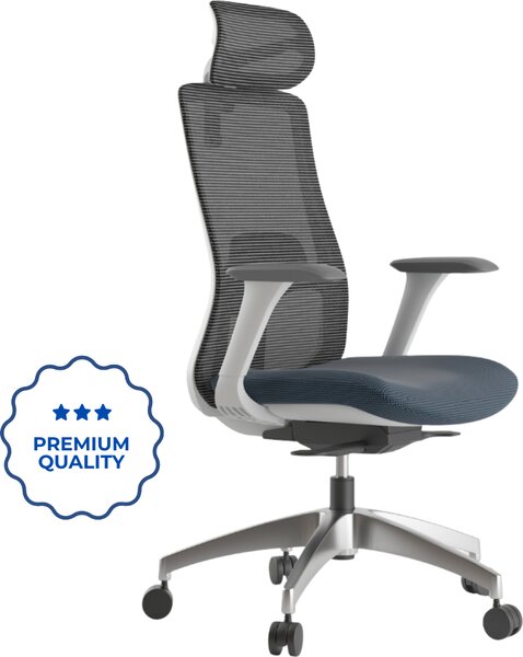 Mercury Ergonomická kancelářská židle WISDOM, šedý plast, modrá látka