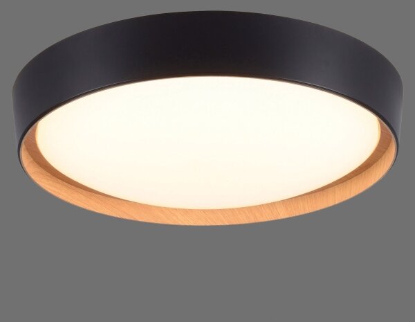 Leuchten Direkt 1434718-LED Stmívatelné stropní svítidlo EMILIA 28,8W/230V černá