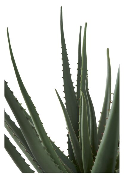 Umělá rostlina Aloe vera Ariaveta (zelená). Akce -26%