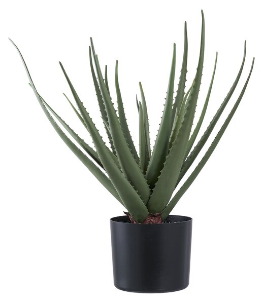Umělá rostlina Aloe vera Ariaveta (zelená). Akce -26%