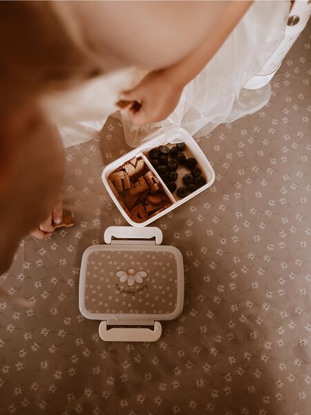 Mrs. Ertha Svačinový box - Little Daisys MEA106