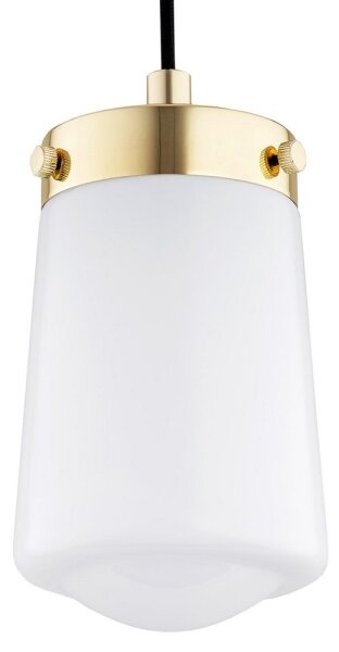 Argon 8004 - Lustr na lanku PASADENA 1xE27/15W/230V zlatá/bílá