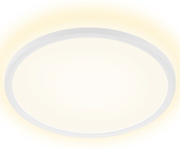 Briloner 7157-416 - LED Stropní svítidlo SLIM LED/22W/230V pr. 42 cm