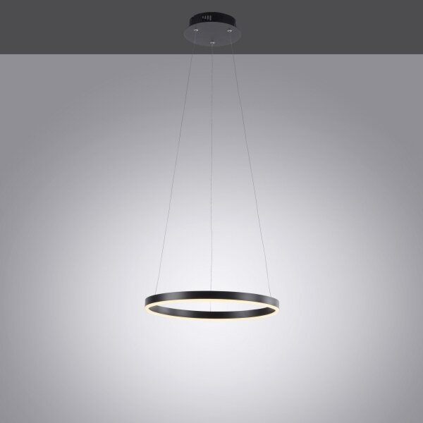 Leuchten Direkt 15393-13-LED Stmívatelný lustr na lanku RITUS LED/20W/230V černá