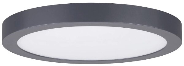 Paulmann 70988 - LED/22W Stropní svítidlo ABIA 230V antracit