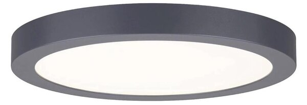 Paulmann 70988 - LED/22W Stropní svítidlo ABIA 230V antracit