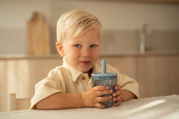 Dětská sklenička s brčkem Mio, 250ml, Mepal, liška