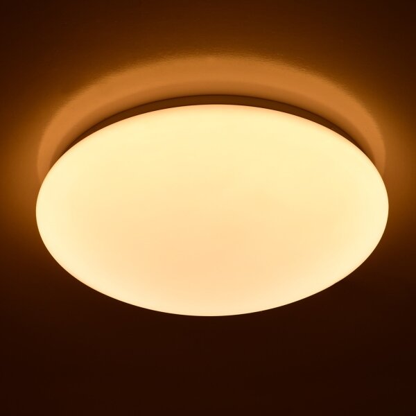 Brilagi - LED Stropní svítidlo OPAL LED/24W/230V