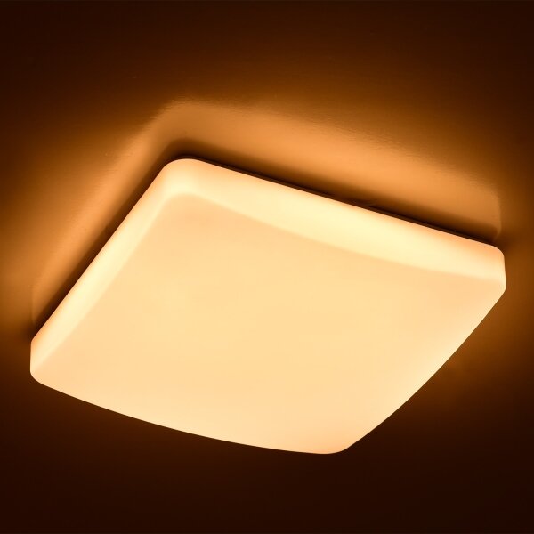 Brilagi - LED Stropní svítidlo OPAL LED/24W/230V