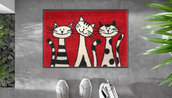 DVEŘNÍ ROHOŽKA, 40/60 cm červená Esposa - Online Only koberce & rohožky, Online Only