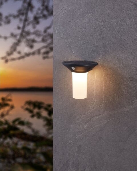 Eglo 900243 - LED Venkovní solární svítidlo se senzorem 6xLED/0,03W/3,7V IP44