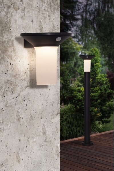 Eglo 900243 - LED Venkovní solární svítidlo se senzorem 6xLED/0,03W/3,7V IP44