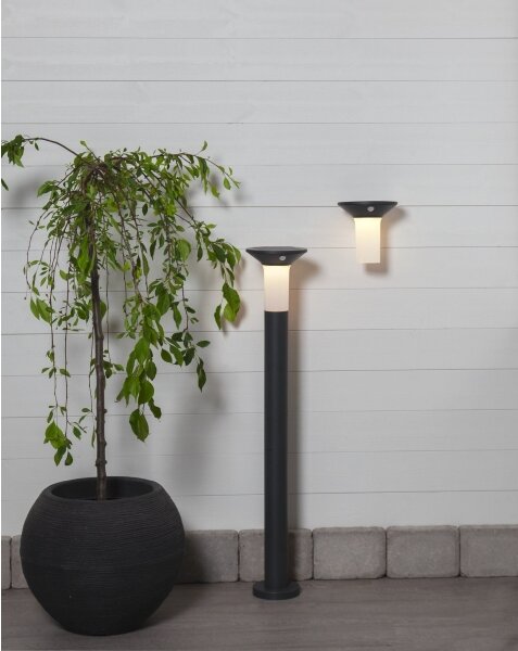 Eglo 900243 - LED Venkovní solární svítidlo se senzorem 6xLED/0,03W/3,7V IP44