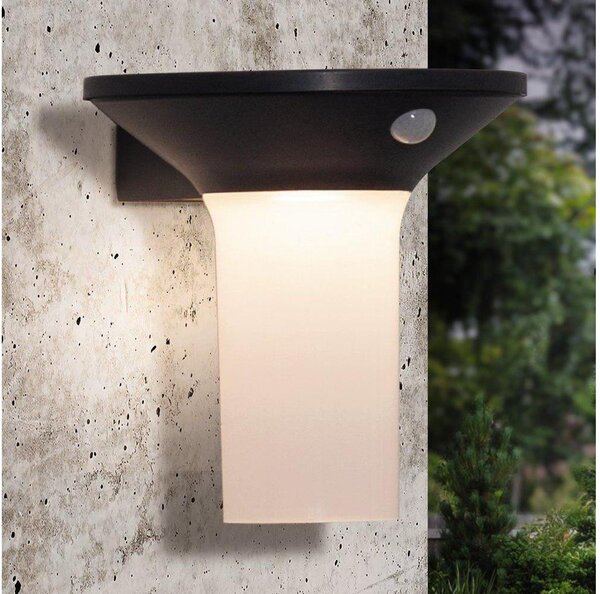 Eglo 900243 - LED Venkovní solární svítidlo se senzorem 6xLED/0,03W/3,7V IP44