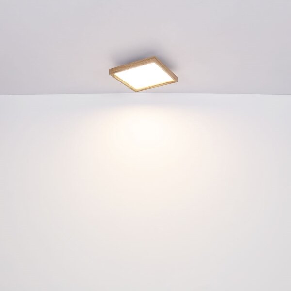 Globo 41595D1-LED Stropní svítidlo CINDERELLA LED/12W/230V 30 cm 2700/4500/6500K