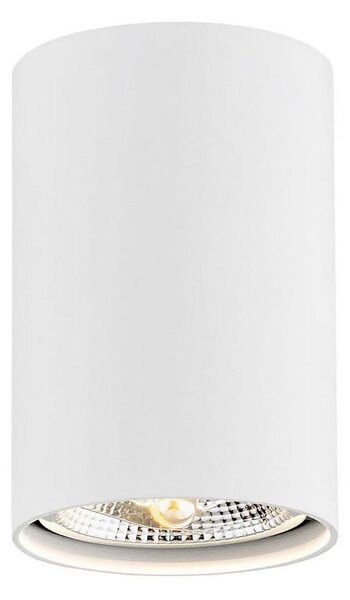 Argon 4910 - Bodové svítidlo TUBO AR111 1xGU10/15W/230V bílá