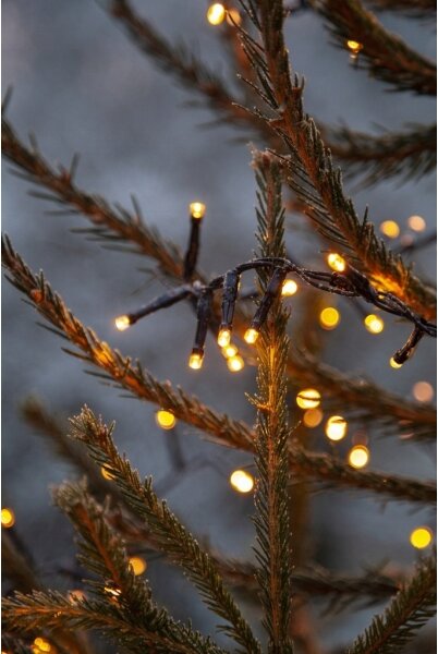 Eglo 411516 - LED Venkovní vánoční řetěz GOLDEN 800xLED 21m IP44 teplá bílá