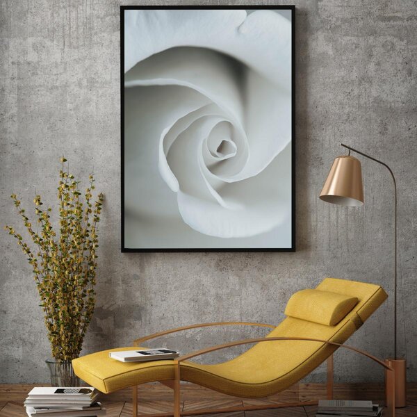 Plakát - White Rose (A4)