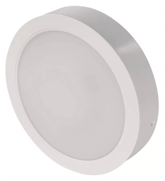 LED Stropní svítidlo LED/24W/230V pr. 22 cm bílá