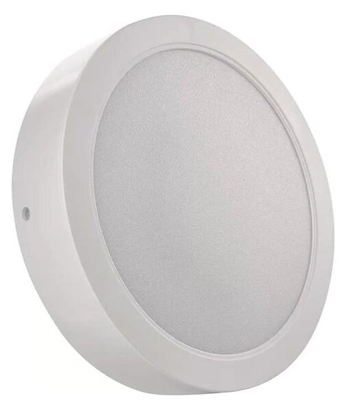 LED Stropní svítidlo LED/24W/230V pr. 22 cm bílá