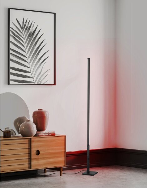 Eglo 75654 - LED RGB Stmívatelná stojací lampa LED/13,5W/230V 2700-6500K + DO