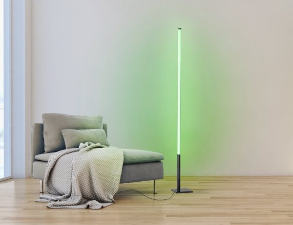 Eglo 75654 - LED RGB Stmívatelná stojací lampa LED/13,5W/230V 2700-6500K + DO