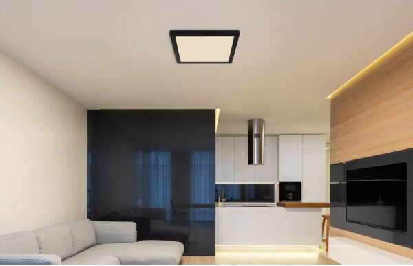 Globo 12380-24B - LED Stropní svítidlo LASSE LED/24W/230V 3000/4000/6500K černá