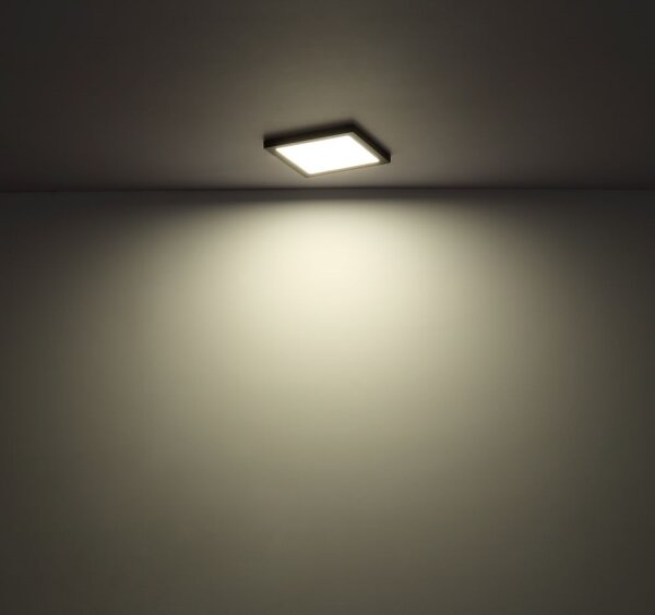 Globo 12380-18W - LED Stropní svítidlo LASSE LED/18W/230V 3000/4000/6500K bílá