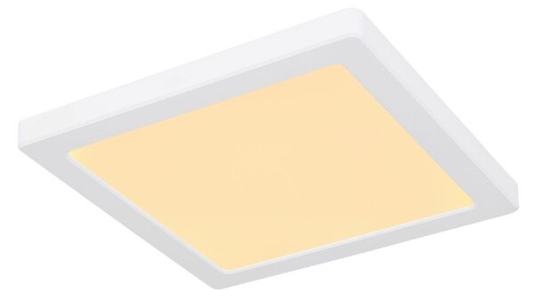 Globo 12380-18W - LED Stropní svítidlo LASSE LED/18W/230V 3000/4000/6500K bílá