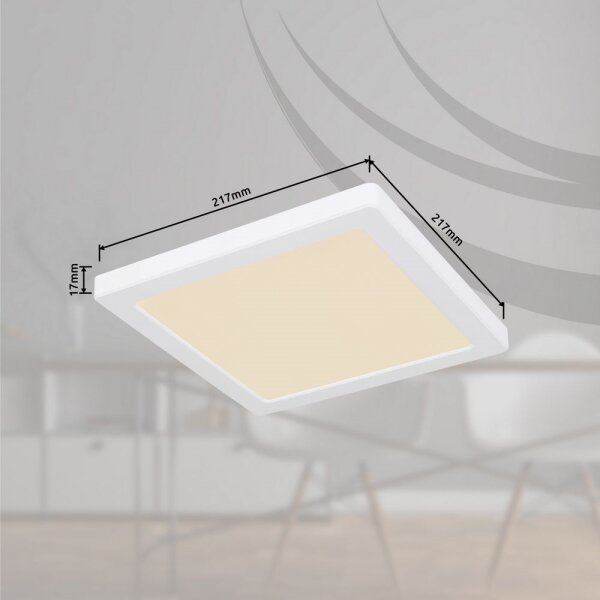 Globo 12380-18W - LED Stropní svítidlo LASSE LED/18W/230V 3000/4000/6500K bílá