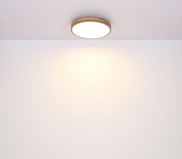 Globo 416080WD1R - LED Stropní svítidlo DORO LED/12W/230V pr. 30 cm