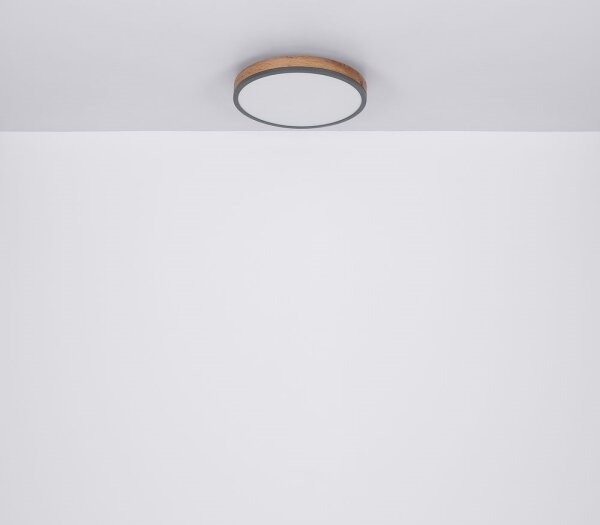 Globo 416080WD1R - LED Stropní svítidlo DORO LED/12W/230V pr. 30 cm