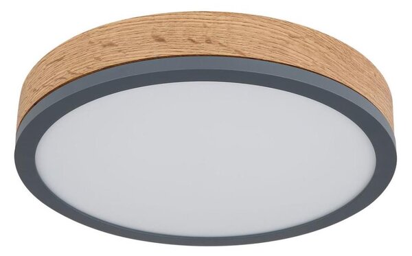 Globo 416080WD1R - LED Stropní svítidlo DORO LED/12W/230V pr. 30 cm