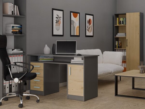 TP Living Psací stůl ADA 125 cm dub Artisan/antracitový