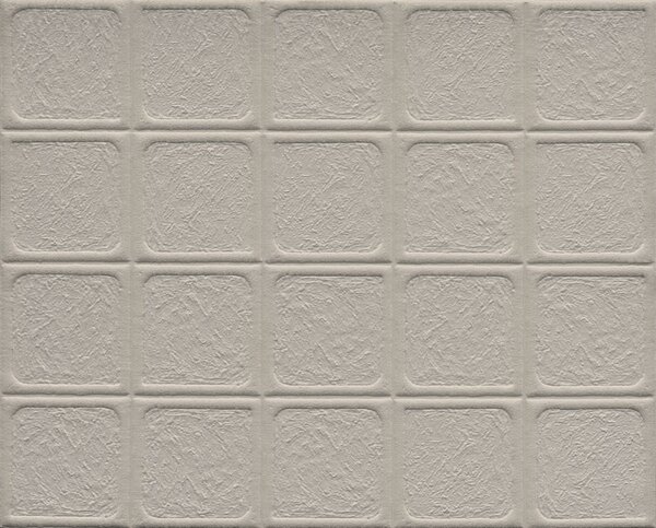 23933, Terra, Arte