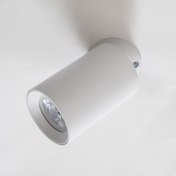 Stropní bodové svítidlo/spot 7 cm 1x GU10 biele Zuma Line TORE TLS006-WH