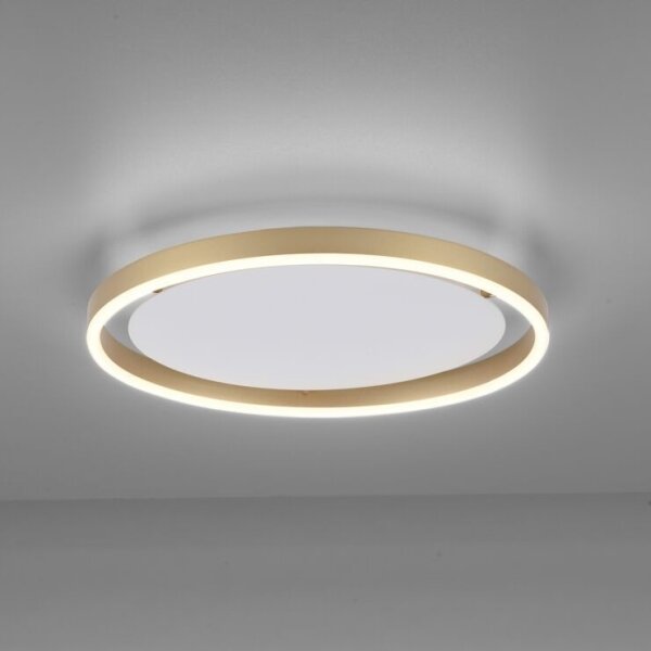 Leuchten Direkt 15391-60 - LED Stmívatelné stropní svítidlo RITUS LED/20W/230V