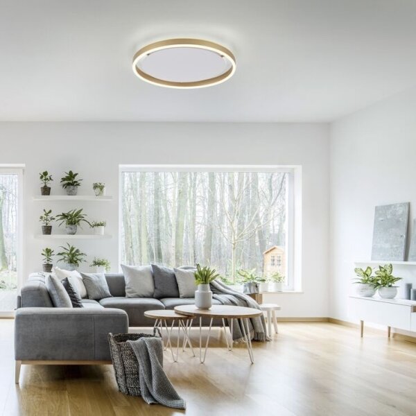 Leuchten Direkt 15391-60 - LED Stmívatelné stropní svítidlo RITUS LED/20W/230V