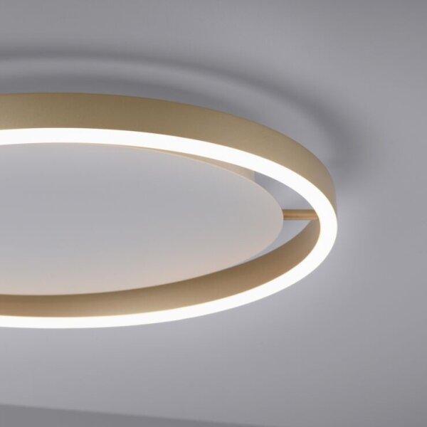 Leuchten Direkt 15391-60 - LED Stmívatelné stropní svítidlo RITUS LED/20W/230V