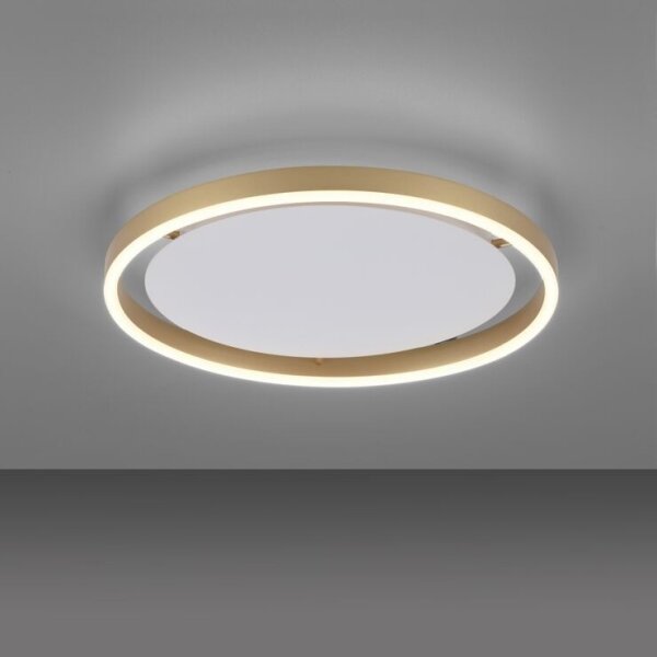 Leuchten Direkt 15391-60 - LED Stmívatelné stropní svítidlo RITUS LED/20W/230V