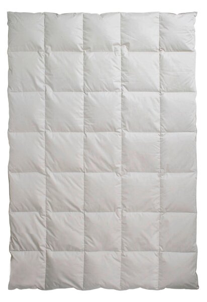 CELOROČNÍ PŘIKRÝVKA, 135/200 cm, prachové peří Centa-Star - Přikrývky, Online Only