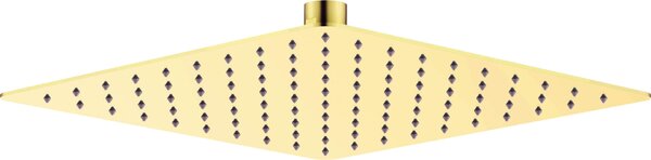 Deante Cascada, nerezová sprchová hlavice 250x250 mm, zlatá lesklá, DEA-NAC_Z02K