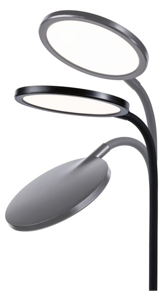 PAULMANN LED stolní lampa na psací stůl Mejan 4000K 15W černá mat